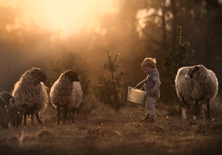 Çocuk Koyunlar Fotoğraf