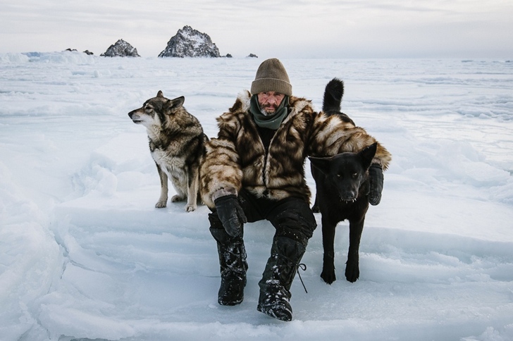 adam köpek fotoğrafları kutuplar tundra