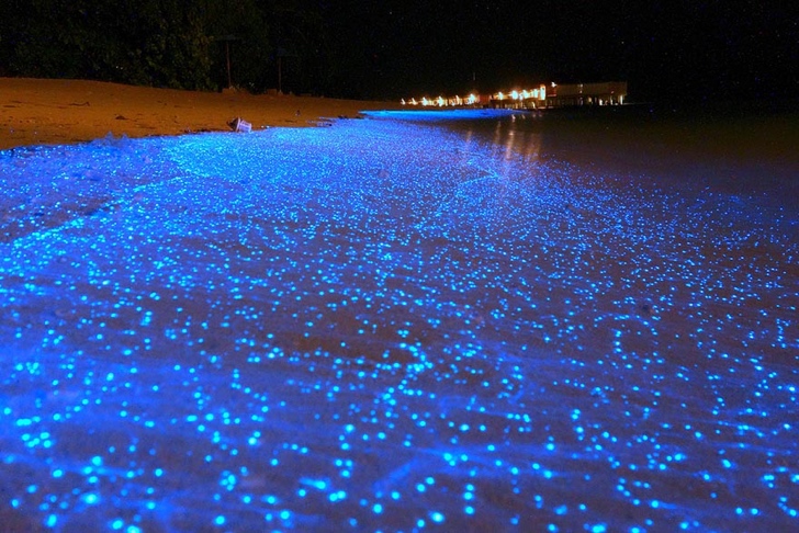 yıldızlı gece parlayan sahil maldivler