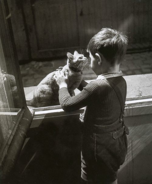 willy ronis 1947 fotoğraf
