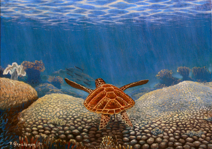 Peter Gerasimon - Under The Sea Coral Marine