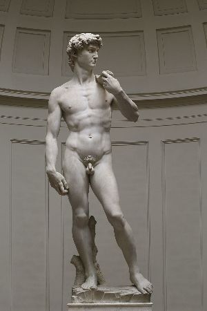 Michelangelo, David, 1501-1504