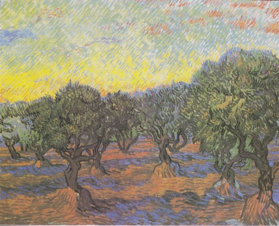 Van Gogh, Olive Grove - Orange Sky, 1889