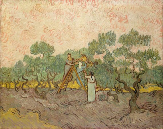 Van Gogh, Women Picking Olives, 1889