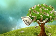 Ağaç Ve Dolar (1)
