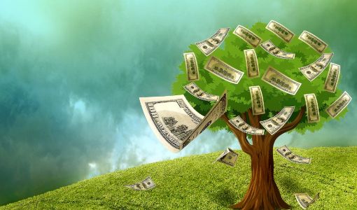 Ağaç Ve Dolar (1)