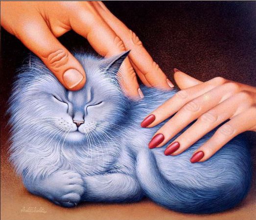 Mavi Kedi (1)