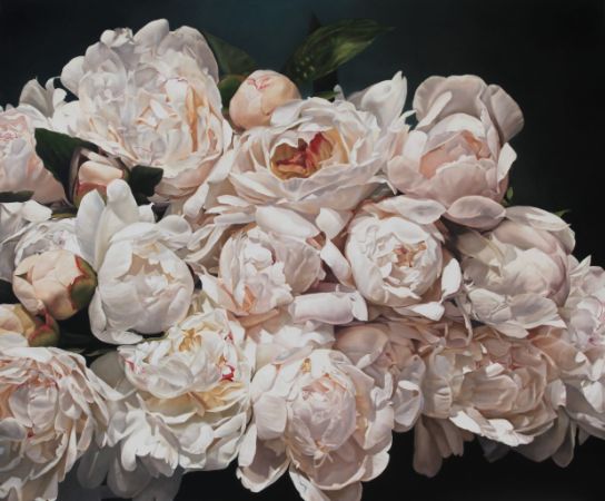 Thomas Darnell,  Peonies Eclater