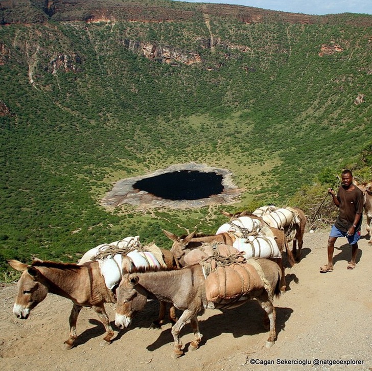 Etiyopya Tuz Toplayıcılar