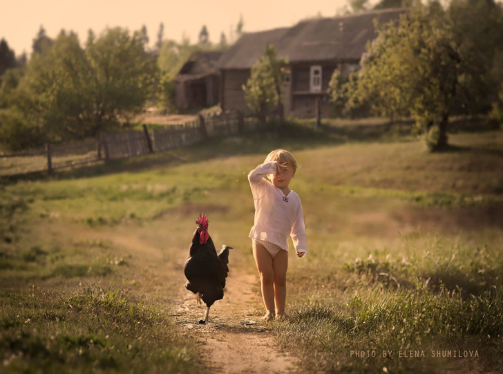 Horoz Çocuk Çiftlik Fotoğraf