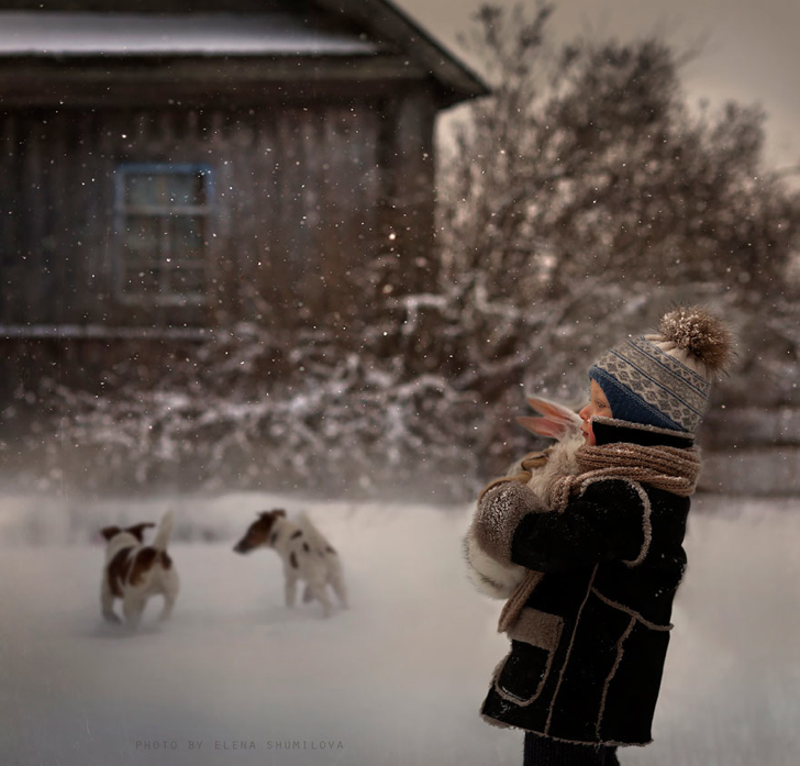 Köpekler Tavşan Çocuk Kar Fotoğraf