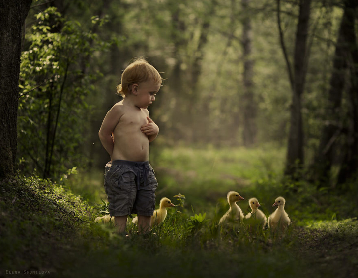 Çocuk Yavru Ördek Fotoğraf