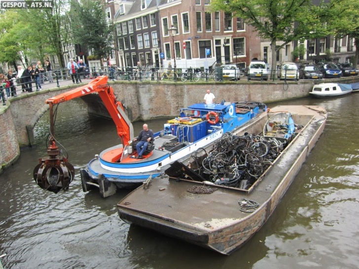 kanaldan bisiklet toplama hollanda