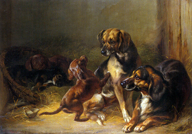 Benno Adam, Dogs and Whelps, 1853