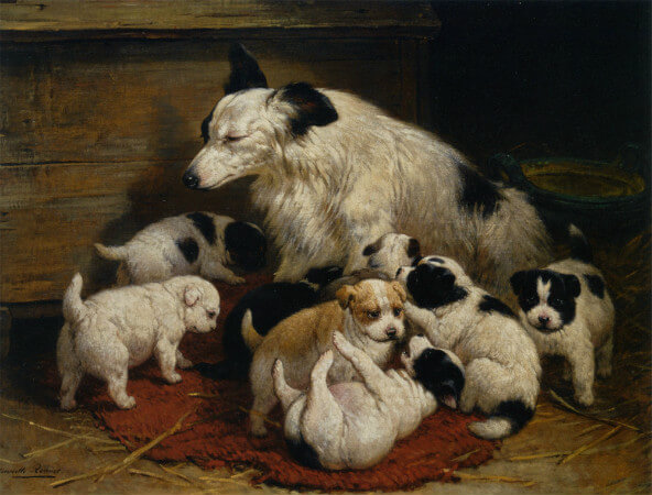 Henriette Ronner Knip, A Dog and Her Puppies