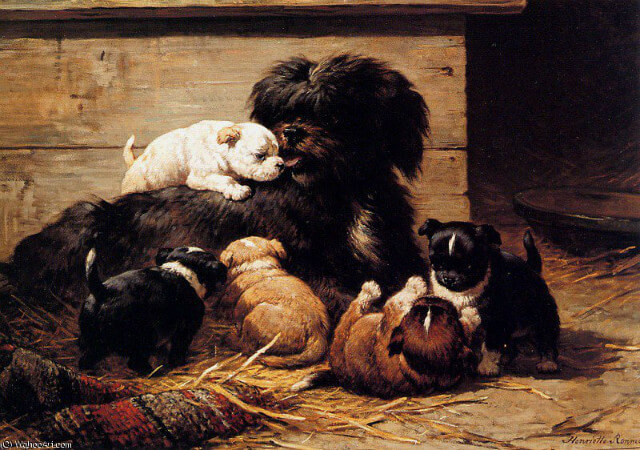 Henriette Ronner-Knip, Dog With Puppies Sun