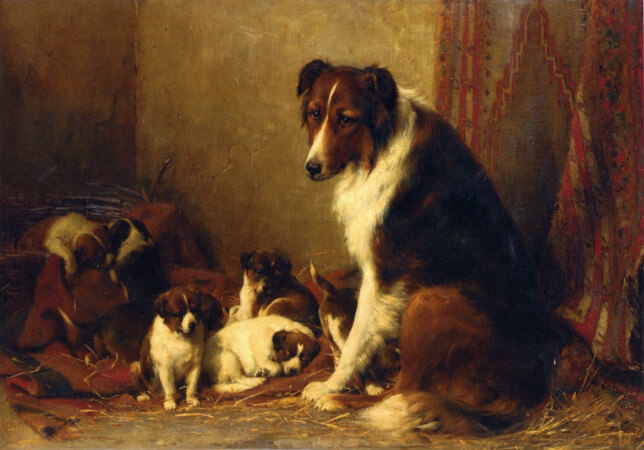 Otto Eerelman, A Collie and Her Puppies
