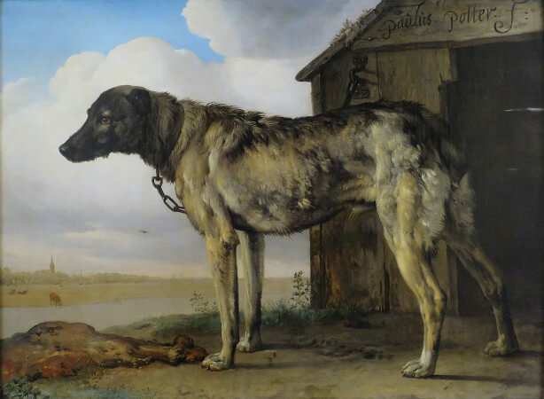 Paulus Potter, The Wolfhound