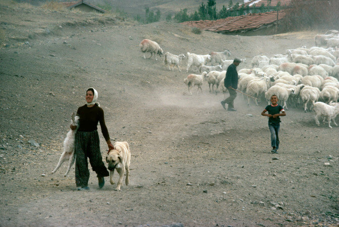 Richard Kalvar, Ankara, 1979