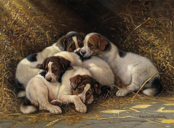 Thomas Garland, Four Puppies In A Haystack
