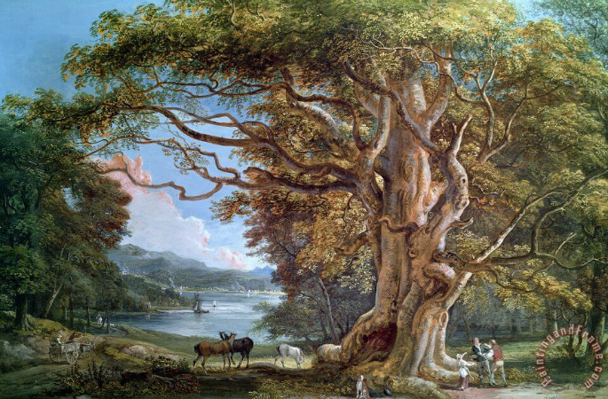 Paul Sandby, An Ancient Beech Tree, 1794