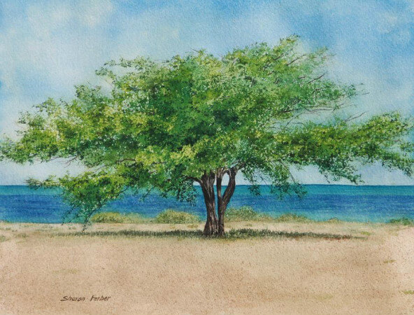 Sharon Farber, Acacia Tree