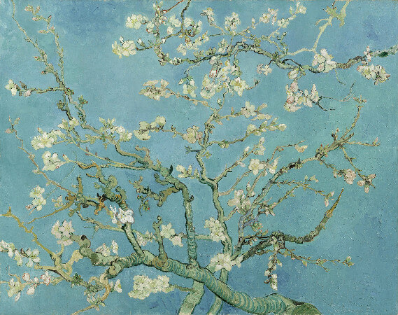 van gogh, almond branches in bloom, st remy, 1890