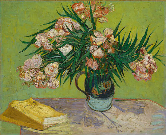 van gogh, oleanders, 1888