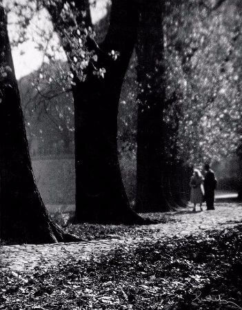 Josef Sudek, Couple and Trees, 1960'lar