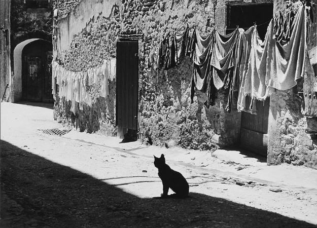 Toni Schneiders, Provence, France, 1954