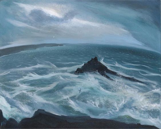 Nicholas Hely Hutchinson, Wild Cornish Coast