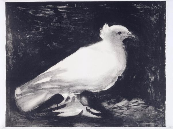 Pablo Picasso, Dove of Peace, 1949