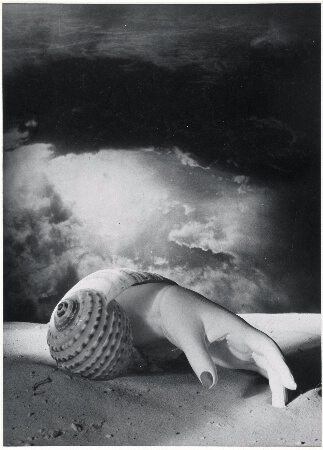 Dora Maar, Untitled (Hand and Shell), 1934