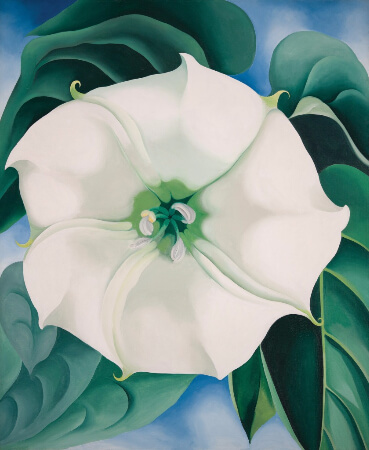 Georgia O'Keeffe, Jimson Weed-White Flower No. 1, 1932