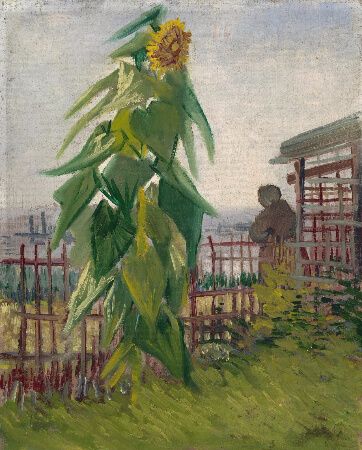 Van Gogh, Allotment With Sunflower, 1887