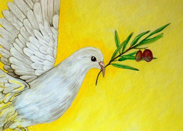 Ann Marie Napoli, Peaceful Dove