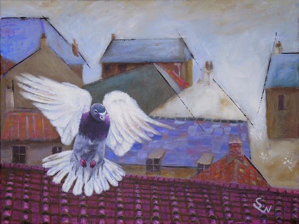 Shirley Wellstead, Urban Pigeon