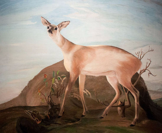 Tivadar Csontvary Kosztka, Deer, 1893