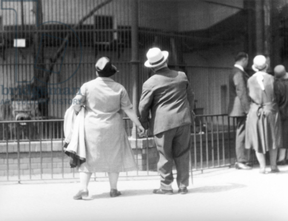 Tina Modotti, Couple At The Zoo, Berlin, 1930