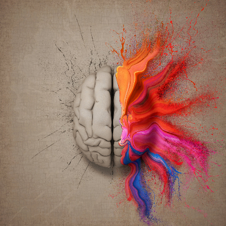 Johan Swanepoel, The Creative Brain