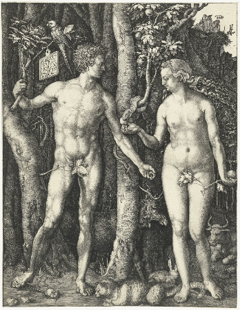 Albrecht Durer, Adam and Eve, 1504