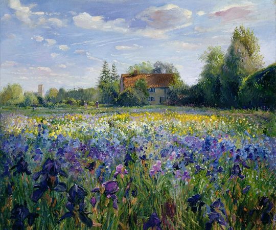 Timothy Easton, Evening At The Iris Field