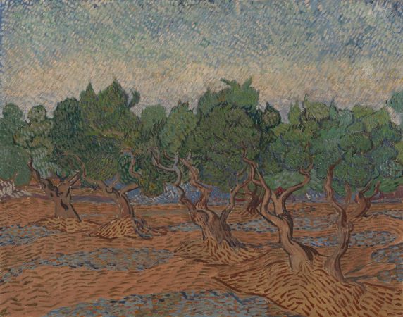 Van Gogh, Olive Grove, 1889