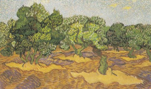 Van Gogh, Olive Orchard, 1889
