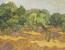 Van Gogh, Olive Orchard, 1889