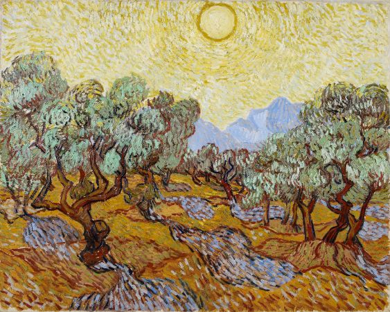 Van Gogh, Olive Trees With Yellow Sky And Sun, 1889