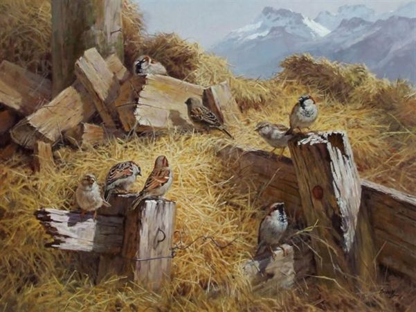 Ben Ho, The Sparrows-Mt Earnslaw