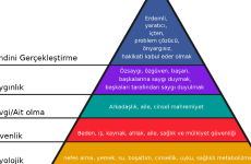 Maslow'un Piramidi (1)