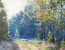 Graham Gerckhen, Sunny Corner Pine Forest (1)