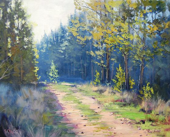 Graham Gerckhen, Sunny Corner Pine Forest
